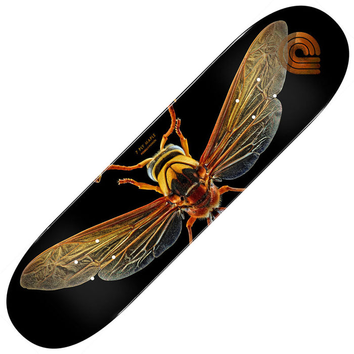 Powell Peralta Potter Wasp Deck 8.0"